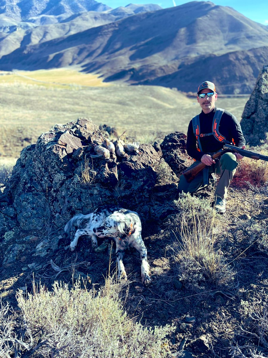 Big win for the Vikings fans from MN who took a break from chukar hunting to watch it. The victory was never in doubt.
#Skol
#MinnesotaVikings
#idaho
#birdhunting