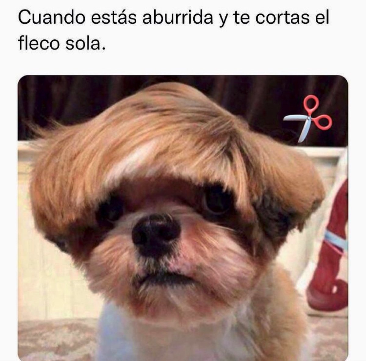 ALMITA •♠️• tweet media