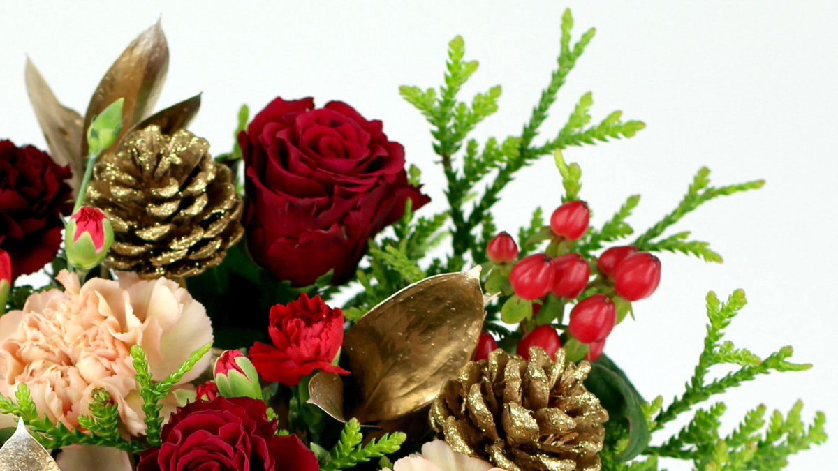 PostaRose's tweet image. Send some festive cheer to friends and family with our Christmas range available now at ow.ly/Ce4C50GUmYq

Enjoy free delivery on all orders ✨