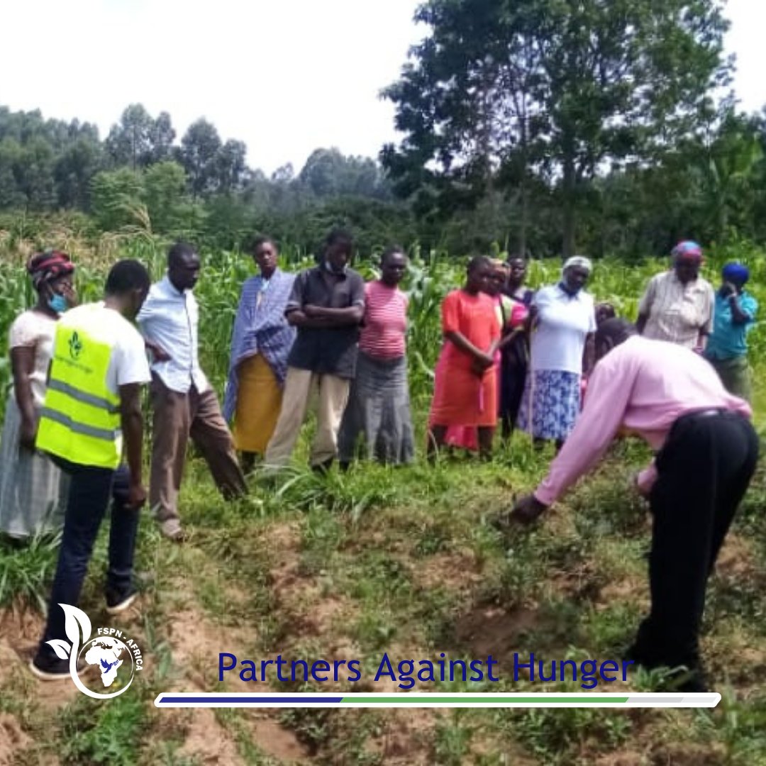 fspnAfrica's tweet image. We are working with youths and women in agriculture to prompt growth in their livelihoods in Khwisero Sub-county.
#SmartDevelopmentHack #valueinvesting