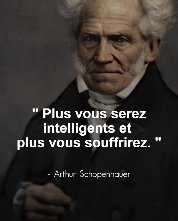 Violette tweet media