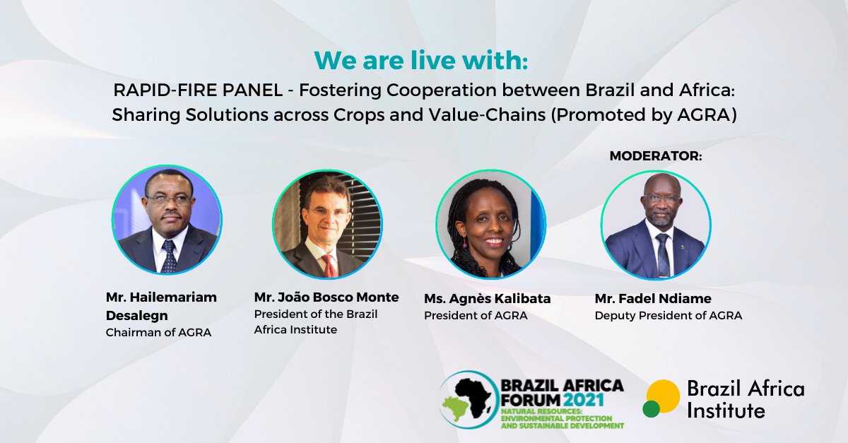 Starting now: Fostering Cooperation between Brazil and Africa: Sharing Solutions across Crops and Value-Chains (Promoted by AGRA) 🗣

#BrazilAfricaForum #BAF2021

👉 English: bit.ly/3cE5Cf7
👉 Português: bit.ly/3CC53wY
👉 Français: bit.ly/3HKIYjx