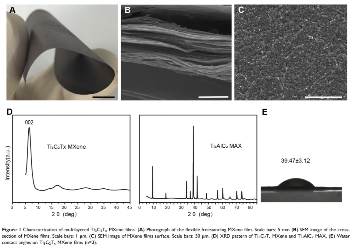 RBResearchTeam's tweet image. Multilayered Titanium Carbide MXene film is biocompatible for bone tissue and GBR therapy. A rat model shows that MXene films promote osteogenesis and bone regeneration by 8 weeks and have no inflammatory and toxic effects on rat. Source:doi.org/10.2147/IJN.S2…
Shared by: Khairun