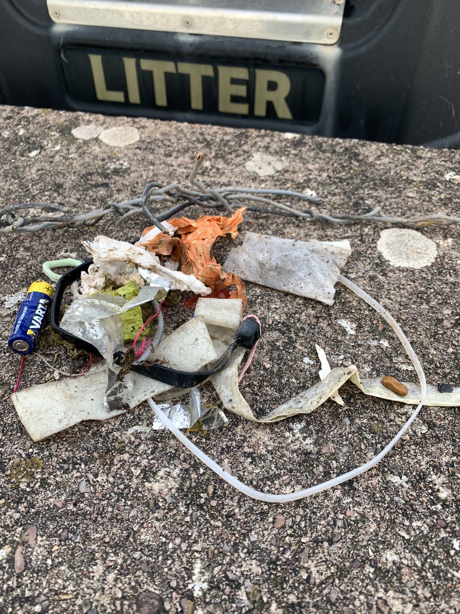 jumpylegs's tweet photo. Chilly but gorgeous dog walk by the #axe and a #twominutebeachclean this morning #axmouth https://t.co/eORqNDwbVO
