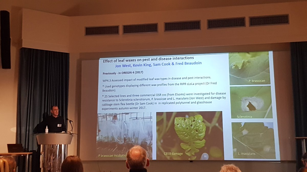 John West <a href="/Rothamsted/">Rothamsted Research</a> is taking about the effect of leaf waxes on pest and disease interactions