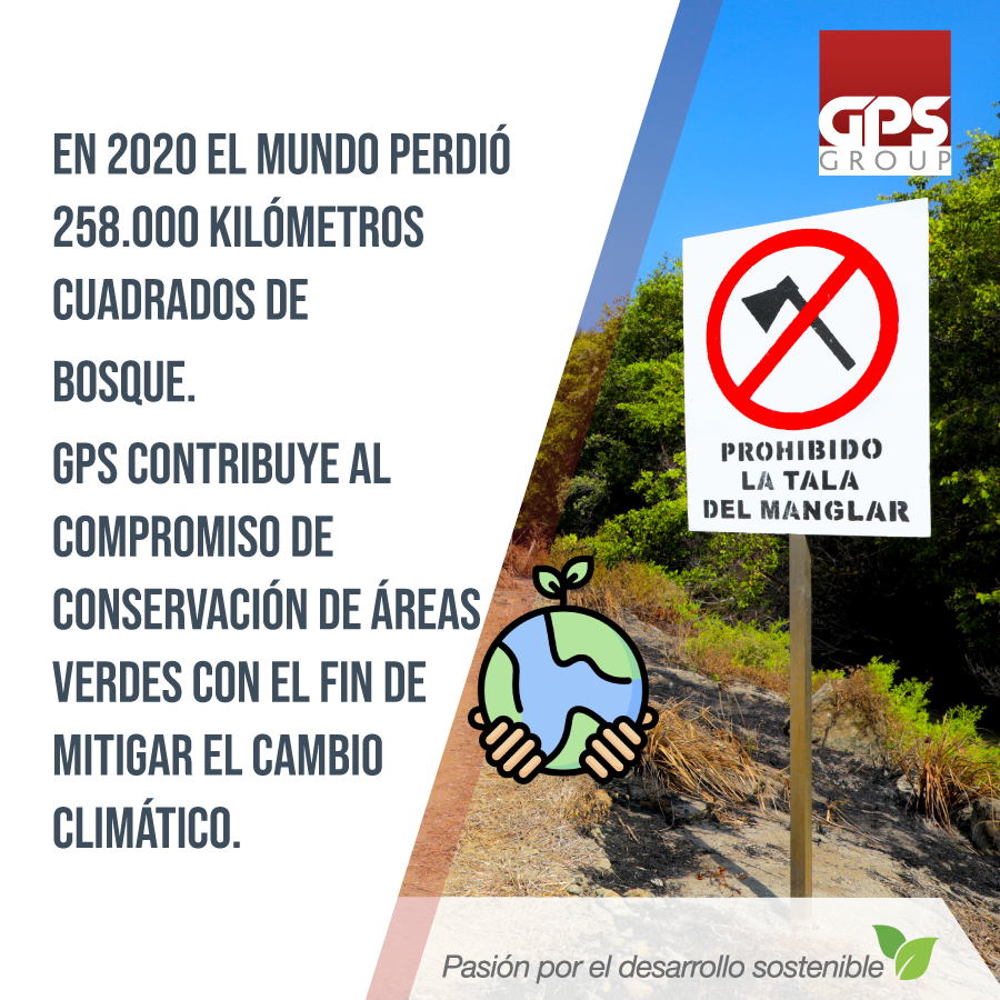 gpsgroupec's tweet photo. GPS Group contribuye al compromiso realizado por Ecuador en la COP26 para conservar los bosques y otros ecosistemas terrestres con el fin de mitigar los efectos del cambio climático.
#acuaculturadelfuturo #camarónsincarbono #sustainableshrimp #climatefriendlyshrimp https://t.co/odF3zTcQ2u