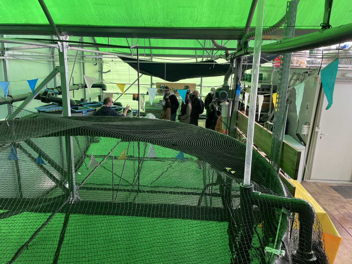 Club des Entreprises tweet media