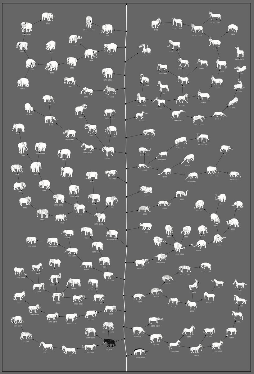 tuCpakoa's tweet photo. Après la chute de l'Empire romain, l'éléphant disparut pratiquement d'Europe. Les illustrateurs s'appuyèrent alors sur des données orales pour le dessiner. Ce diagramme montre comment on le représenta à travers le Moyen-Âge jusqu'au siècle des Lumières.

https://t.co/Fz1xSdDfsq https://t.co/Nw2pVga3Iu