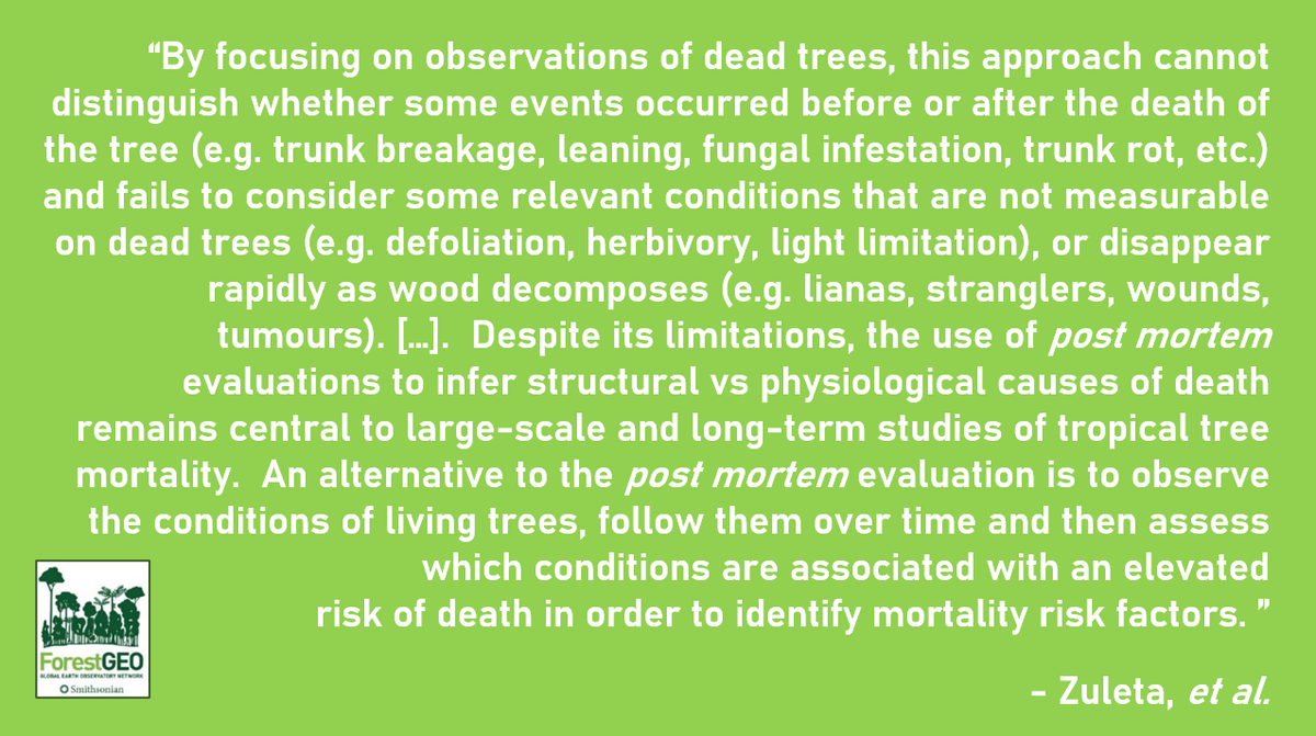 ForestGEO's tweet photo. Which tree mortality risk factors are most impactful?  prevalent?  lethal? @dfzuletaz, et al. present the 1st ranking of tree-level mortality risk factors in tropical forests, &amp; they consider 19 (!) of them using data from 6 @ForestGEO plots to do it: https://t.co/CqbCqJoBsY https://t.co/orR8VRiS0m