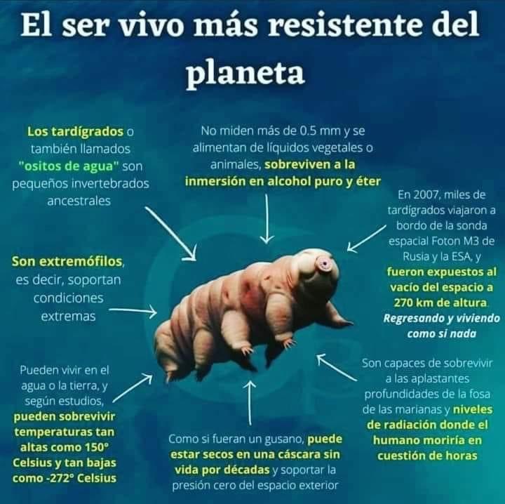 Enséñame de Ciencia (@ensedeciencia) on Twitter photo 