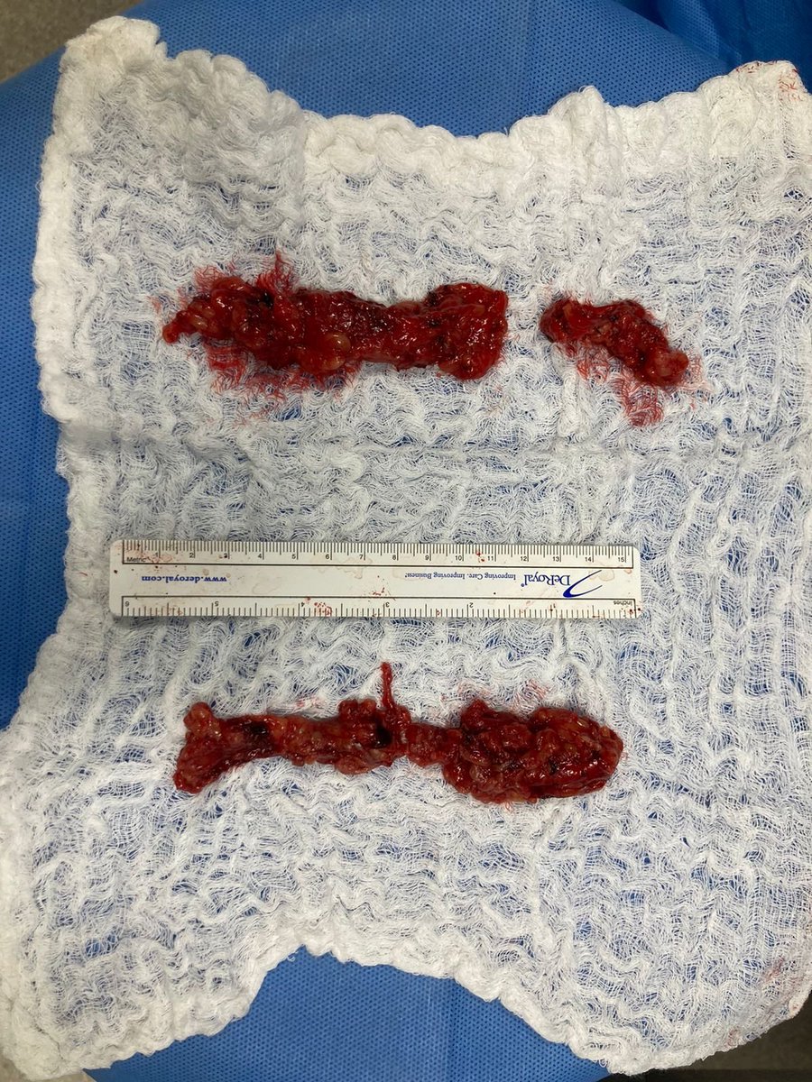 José Ignacio Acuña tweet media