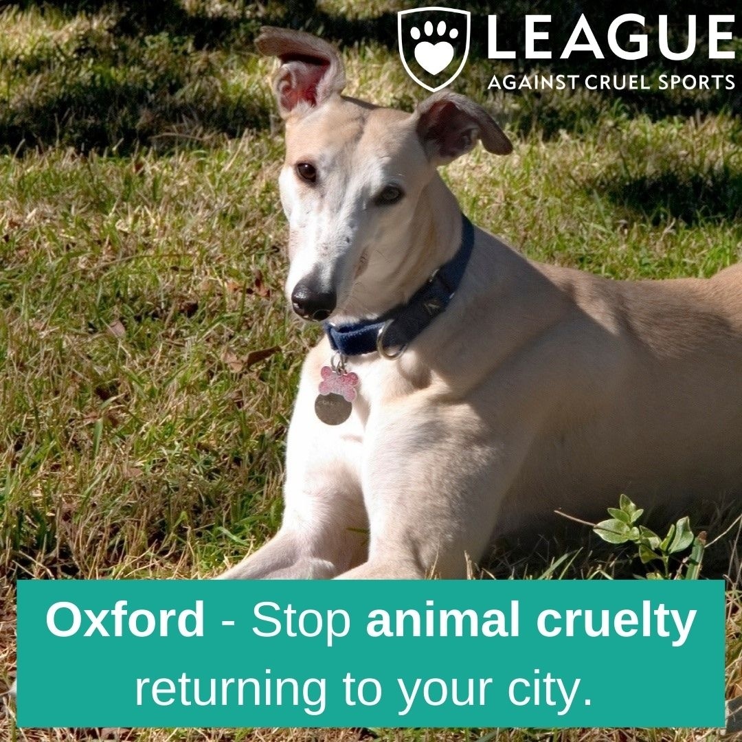 League Against Cruel Sports tweet media