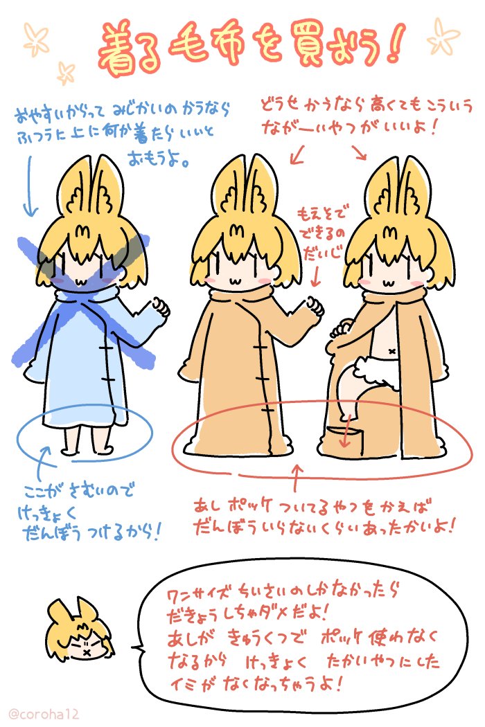 定期  着る毛布のススメ🐱 