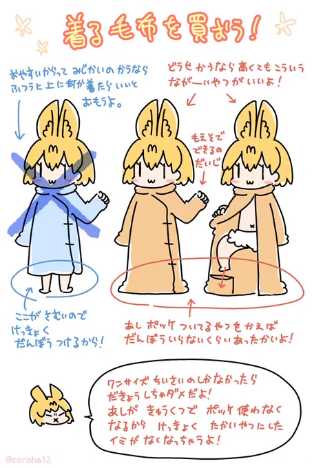 定期  着る毛布のススメ🐱 