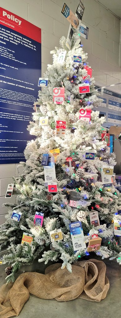 katlynzora's tweet photo. Our Front End did an AMAZING job decorating their tree. Just look at that star! #lowescredit #LPP 💳💸💲 @BlueBoxR1 @lowes https://t.co/maghK49DXW