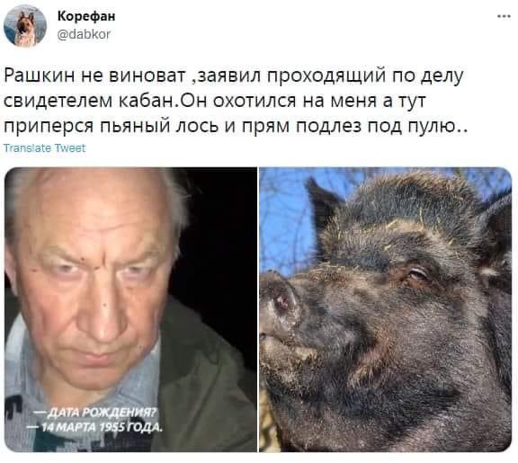 Лось мем. Мем про Рашкина и лося. Рашкин мемы про лося. Кабан мемы
