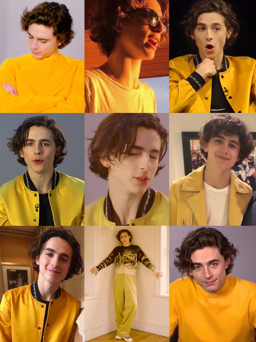 timothée chalamet in yellow is literally a ray of sunshine in these autumn days 🍂