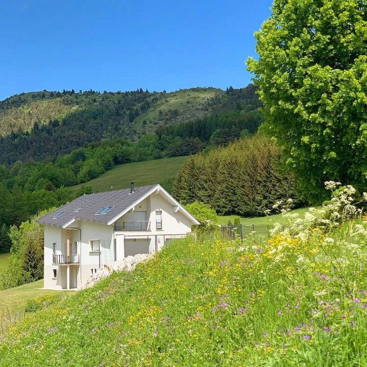 softwhitecloud's tweet image. 