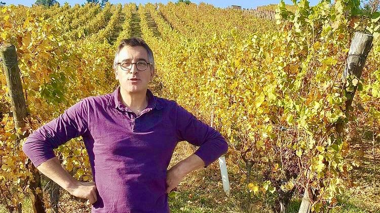 winesutb's tweet photo. Alsace Special: JP Rietsch 2020's are here! Also introducing Maxime Woerly - https://t.co/xA3WMjDLjy https://t.co/GGk5RGxhot