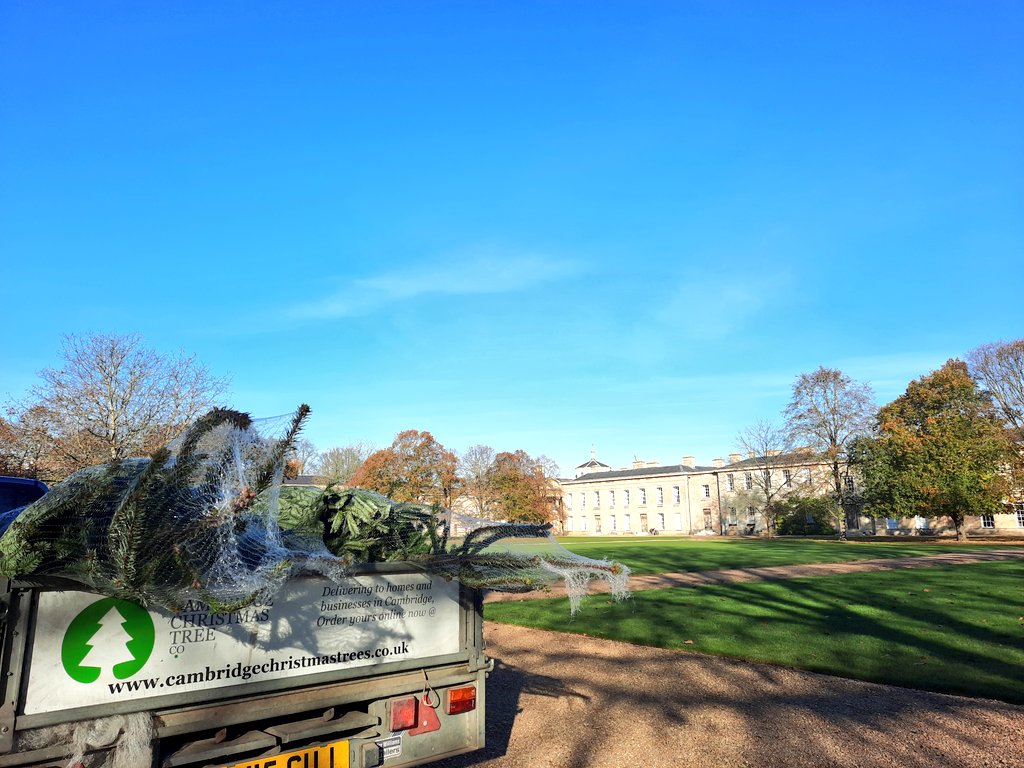 All big, heavy trees today! A good way to start the season but definitely lacking fitness.