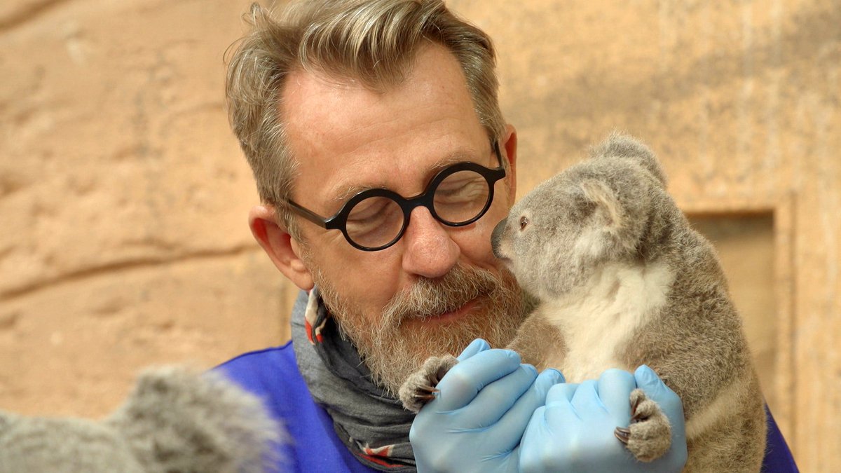 France3Presse's tweet photo. 📌 #TempsForts #Sem50
@Lemondedejamy : Animaux, une affaire de famille @JamyGourmaud @Eglantine_EMEYE
🗓️ Mercredi 15 Decembre à 21.05
À la manière d'un album de famille, tournons les pages des grands moments de la vie affective des animaux... https://t.co/yO5QNNMGwk
