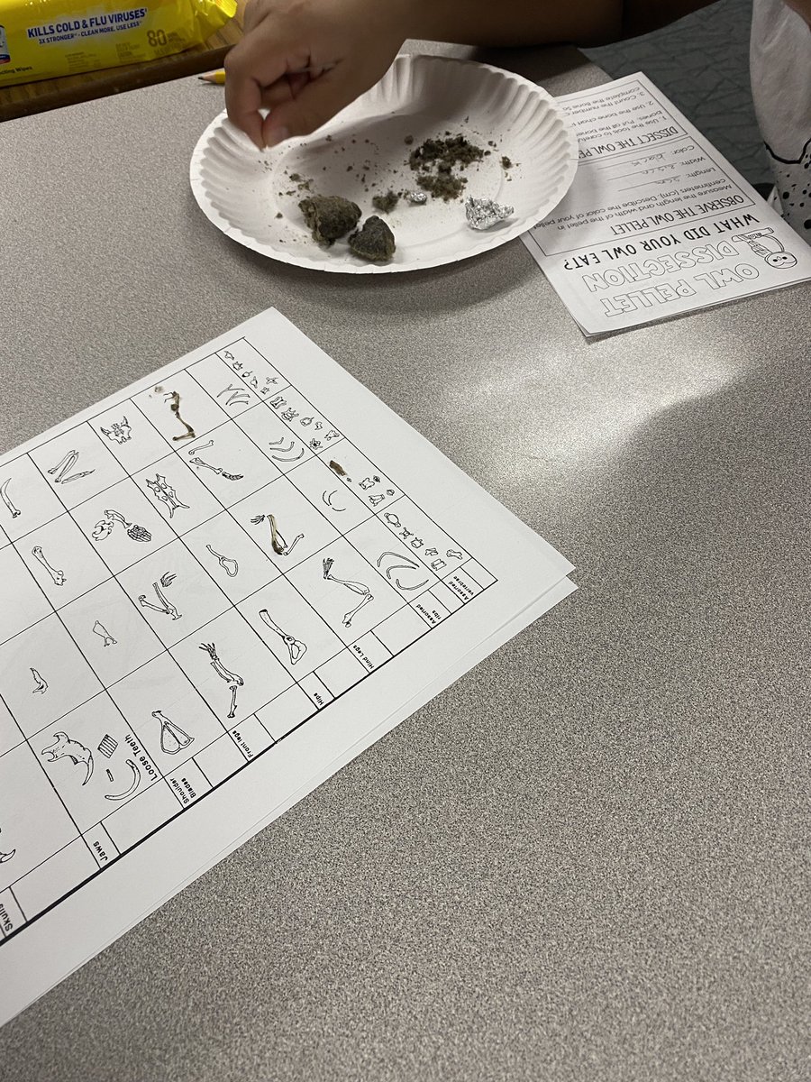 Integrating language learning and science. #owlpellets #science @NorthWayneElem @MrsWey10 @dmurff5