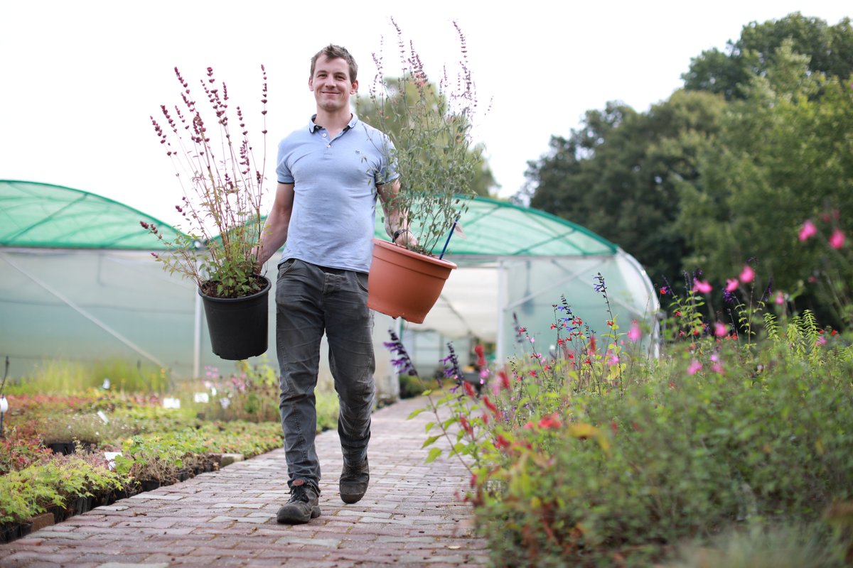 Wilde Weelde tweet media