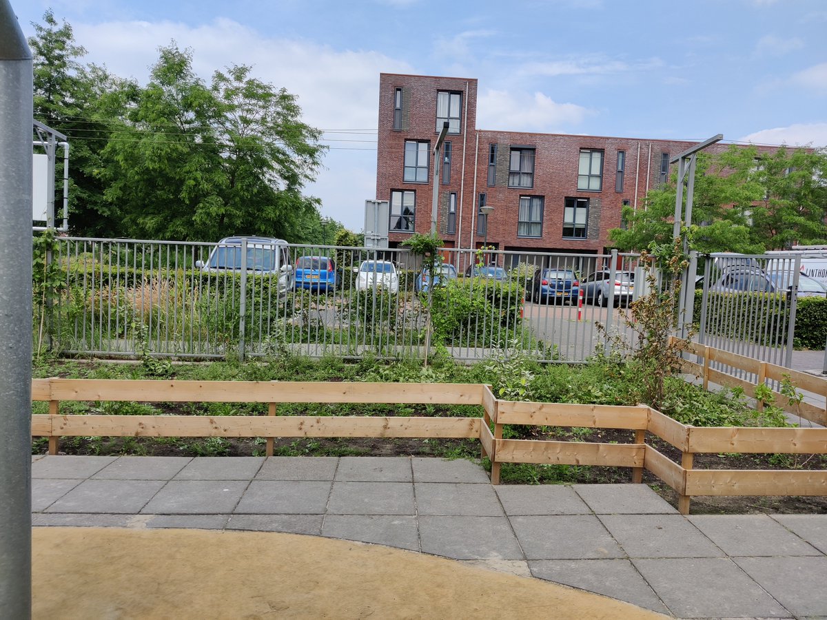 De nieuwe nieuwsbrief is weer uit! Met een leuk stuk over het maken van een groener schoolplein, de favoriete plant van Jeroen Aaldering, een lekker bollenrecept van Sifra Timmermans en nog veel meer!
wildeweelde.nl/nieuwsbrief-wi…