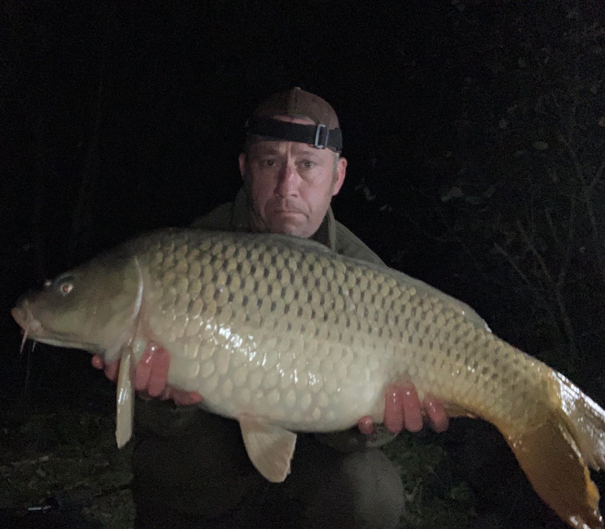 Lakesarock's tweet photo. Some more photos from Simon and Lee’s week finishing in Lake Sarock.

Looks like you were kept really busy, and not much sleep 😁😉 

#carpfishing #carpsofinstagram #commoncarp #fishinginfrance #instacarp #livethesearch #mirrorcarp #grasscarp #fishinginfrance #francefishing #carp https://t.co/QiKVCjYIL6