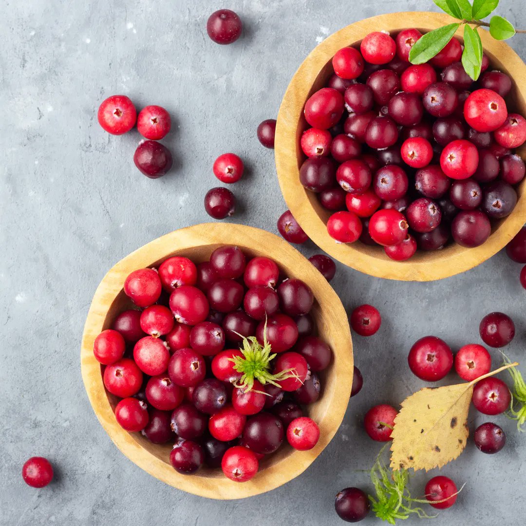 LifeSproutBio's tweet photo. Tip Tuesday 👍 Cranberries are popular this time of year, and rightfully so because their health benefits. They are most commonly consumed to prevent urinary tract infections (UTIs) due to antibacterial compounds. 
Read more about cranberries 👉 https://t.co/Mnta1OG0om
#cranberry https://t.co/11CXxt2plb