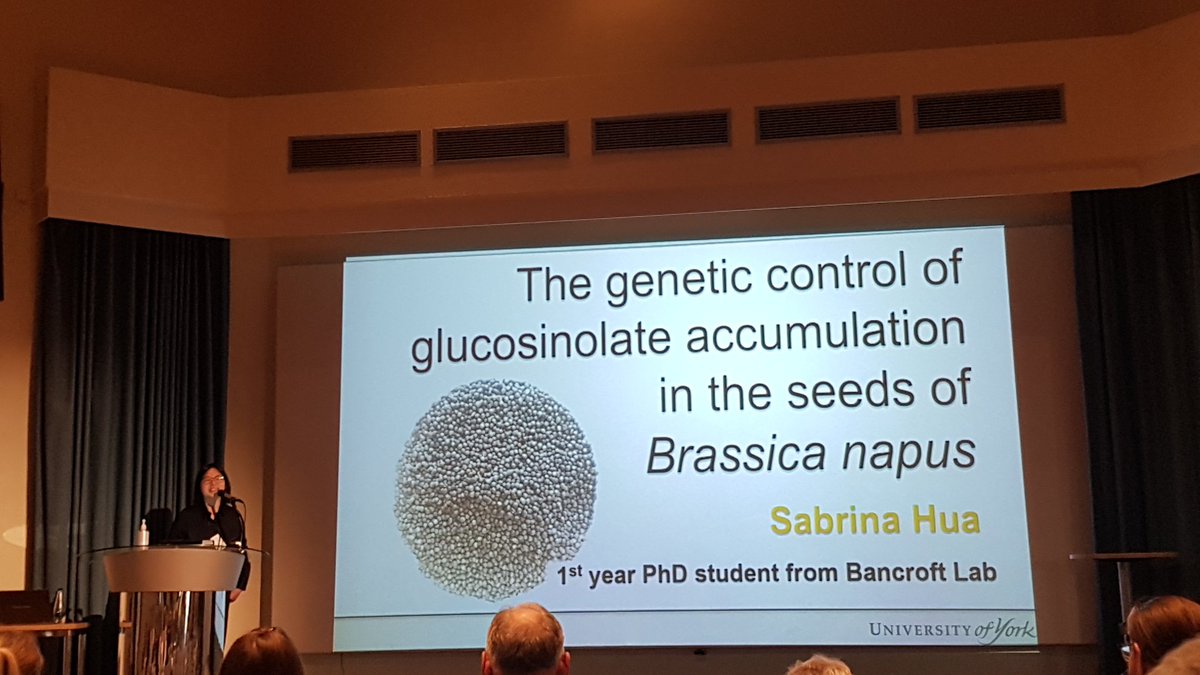 Jingya Hua <a href="/UniOfYork/">University of York</a> is talking about the genetic control of glucosinolate accumulation in the seeds of Brassica napus