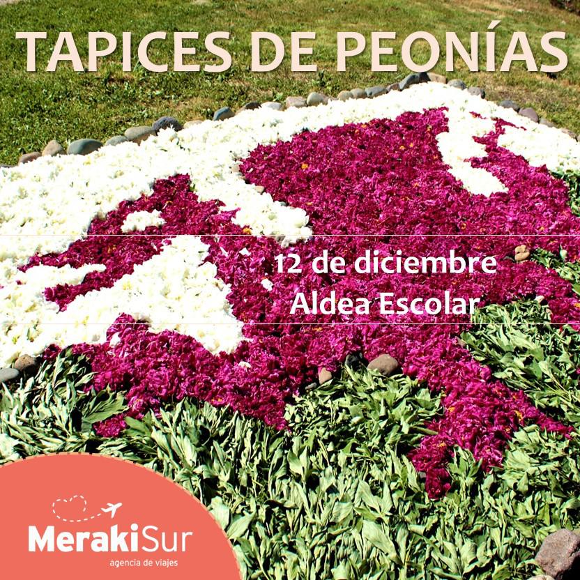 MaruOrtizTw's tweet photo. 📍 #AldeaEscolar - #Trevelin
Campo de #PEONIAS 🌸
✨ "Son 3ha. con 8 colores. La temática para los tapices de este año será "aves" (la nuestra es la Loica). Son plantas de rizoma. Se exportan mucho a EEUU" Griselda Boyraz en @CadenaTiempo
@EEAChubut @TurismoTreveli1 https://t.co/wUFlmGncsm