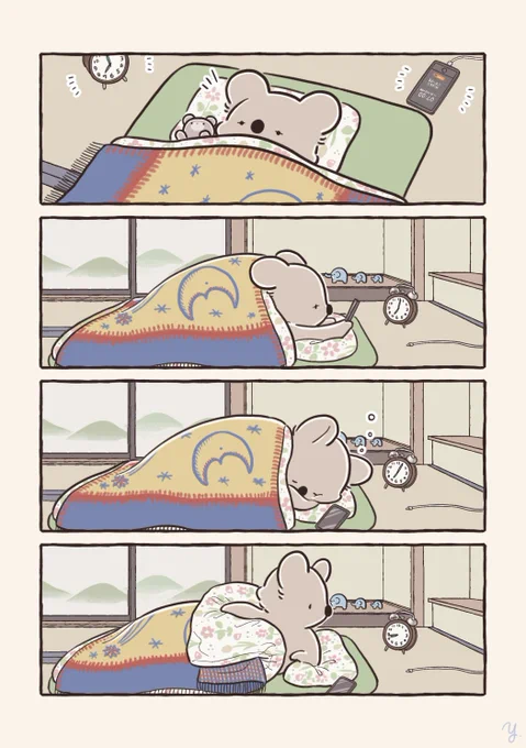 抗えなかったコアラ 