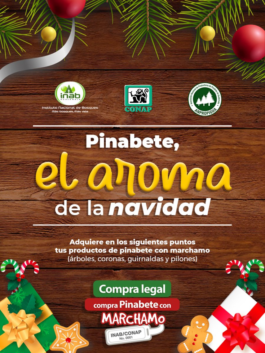 CONAPgt's tweet photo. 📝El #𝐂𝐎𝐍𝐀𝐏 te comparte  los puntos de venta de #Pinabete 🌲 legal con el marchamo blanco de INAB/CONAP y blanco con fondo negro para subproductos (coronas y guirnaldas).

¡Juntos protejamos nuestros bosques!🇬🇹🌱

#CompraLegal #CompraConMarchamo #PinabeteConMarchamo https://t.co/bTrF0yQA1V