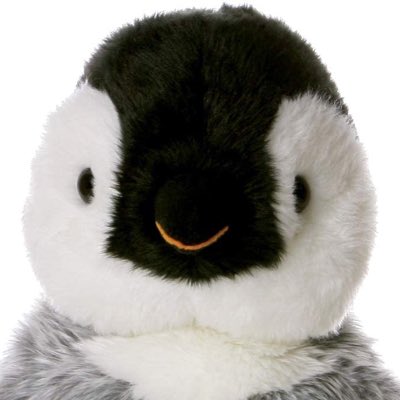 kevinthapenguin's tweet photo. We back at it baby.  #NewProfilePic https://t.co/7MrclI23re