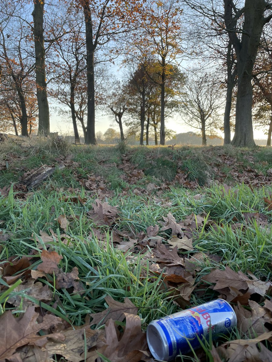 Flats_Pickers's tweet photo. Litter picking gives you wings! Join us on Sunday 28th November and show #WansteadFlats some 💚. Meet opposite Golden Fleece pub, Capel Road, E12 11am. #E7 #E12 #E11. All welcome and equipment provided. https://t.co/0oqDE2NUKo