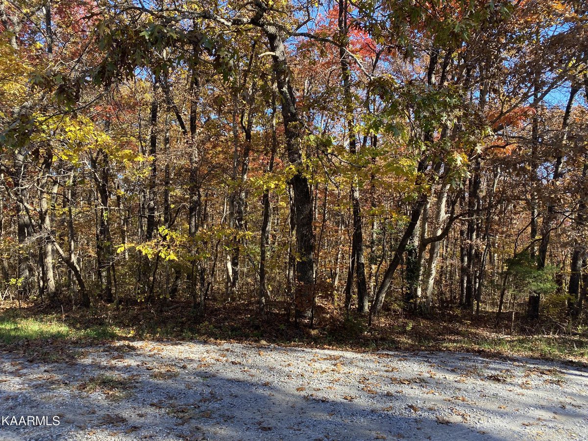 Check out this listing! Swift Fox Rd, Crab Orchard, TN, 37723 

$6,500 | 0 Bed | 0 Bath | 16117 sq. ft.

Contact me for more details!

FIRST REALTY COMPANY
Julie V. Thompson, REALTOR
(931) 484-0226 Office / (931) 248-0226 Cell
jthompson1405@gmail.com topcrossvillehomes.com/TN/Crab_Orchar…