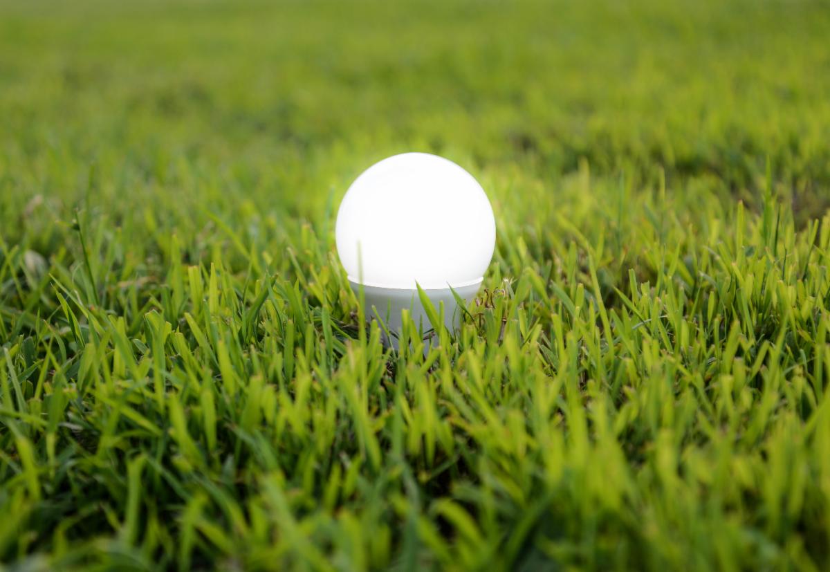 ACR_Solutions's tweet photo. LED Lighting will bring your business into the future and will allow you to be more eco-friendly!

Furthermore, it'll allow you to cut down on your expenses. 

Interested in learning more?

Click here: 
https://t.co/AGAi2zUBgV https://t.co/nY1c3Y7Af8