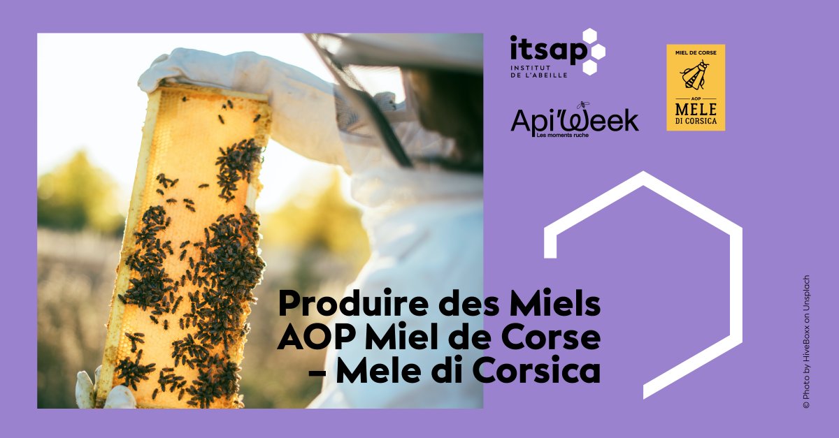ITSAPinstitut's tweet image. Dans la poursuite de #Apiweek par #interapi, cap sur la #Corse et sur les #miels AOP Miel de Corse – Mele di Corsica, avec le Syndicat AOP Miel de Corse. Retrouvez le cas-type concernant les exploitations apicoles : blog-itsap.fr/cas-type-miel-…