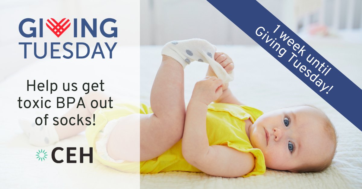 CenterEnvHealth's tweet photo. 🗓️ ONE WEEK until #GivingTuesday! ⏰

This Giving Tuesday, we're going to ask you to help us get toxic #BPA out of socks. 🧦 All gifts will be matched 💵for💵, so your support will go extra far!

We hope you'll choose CEH to fight alongside. ❤️ Learn more: https://t.co/3U2U0O4RkL https://t.co/PYx8abI3yF