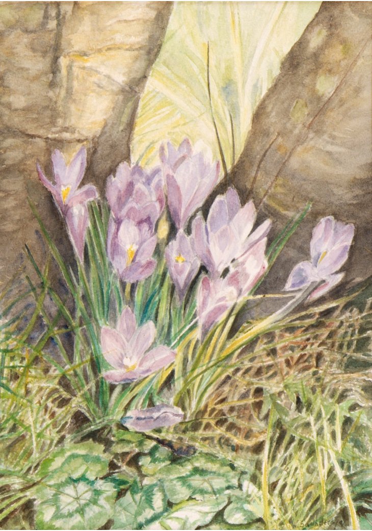 ArtsCuh's tweet photo. Artist: Vicky Saunders-Helps
Title: Crocuses

View many more works of art included in the Cork University Hospital Arts Collection at https://t.co/SwxjJZYQ9g

#artcollection #artonline #irishart https://t.co/BNlv5PLDDG