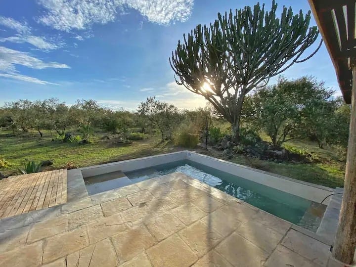 PerfectSafariz's tweet photo. It feels good to get lost in the right direction, traveling does that to some us
#wonderlusting #travelholic #travelwithus #travelkenya https://t.co/YrLwUTz7jA