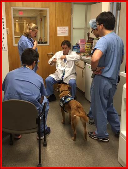 BU Orthopaedics tweet media