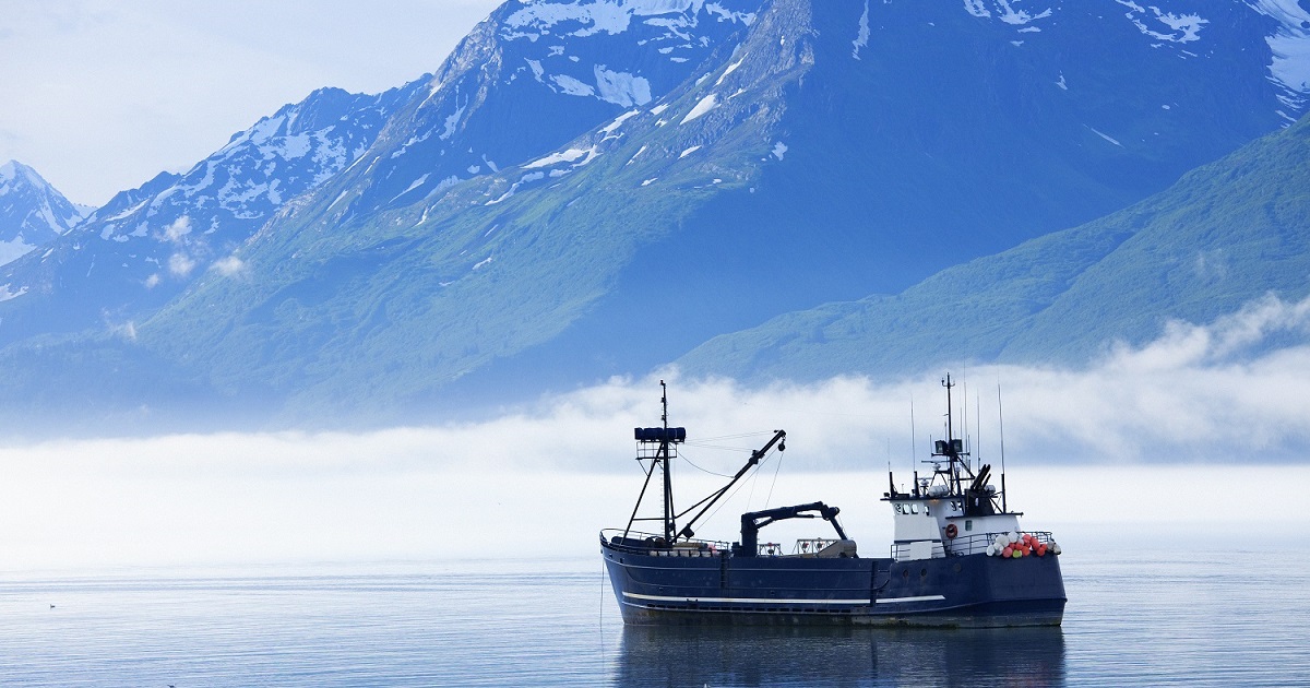 NFWFnews's tweet image. NFWF and @NOAAFisheries are excited to announce $3.7 million in grants for projects to enhance data collection and modernize data management systems in #fisheries. #EM4fish

Congrats @MoteMarineLab @GMRI @wdfw @nature_org @VIMS_News @cfrf_ri + more! loom.ly/bSpJub4