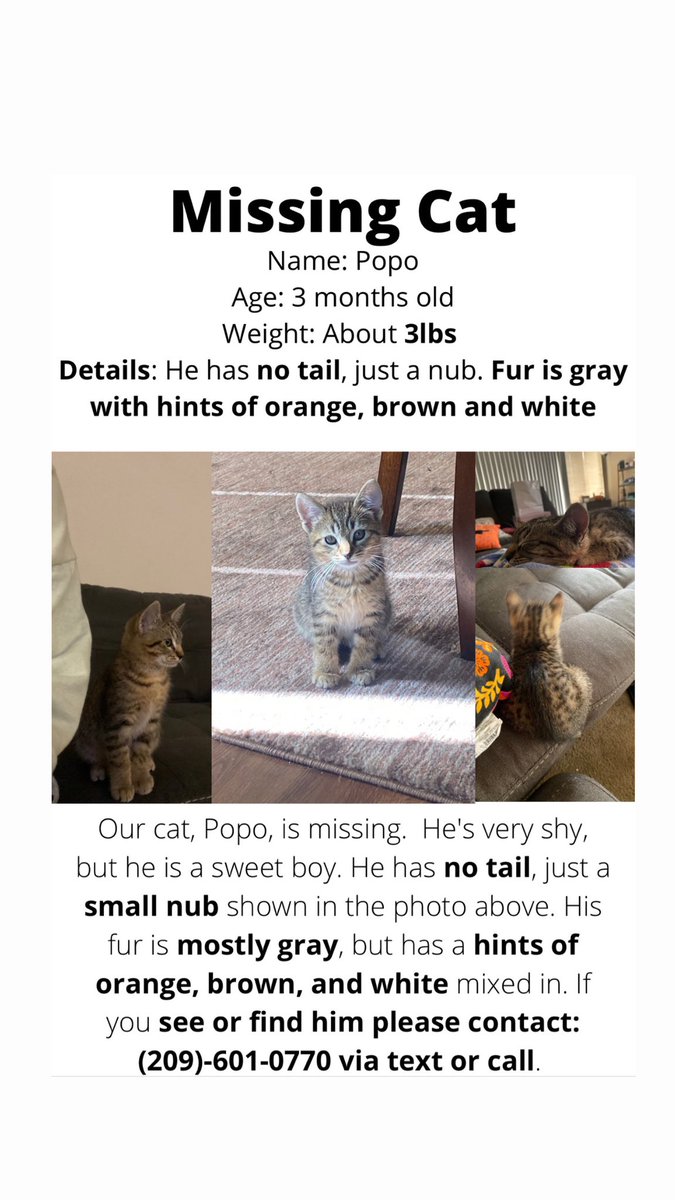 reabee6's tweet photo. please contact me if you see or get any information https://t.co/iYYOU0dt4j
