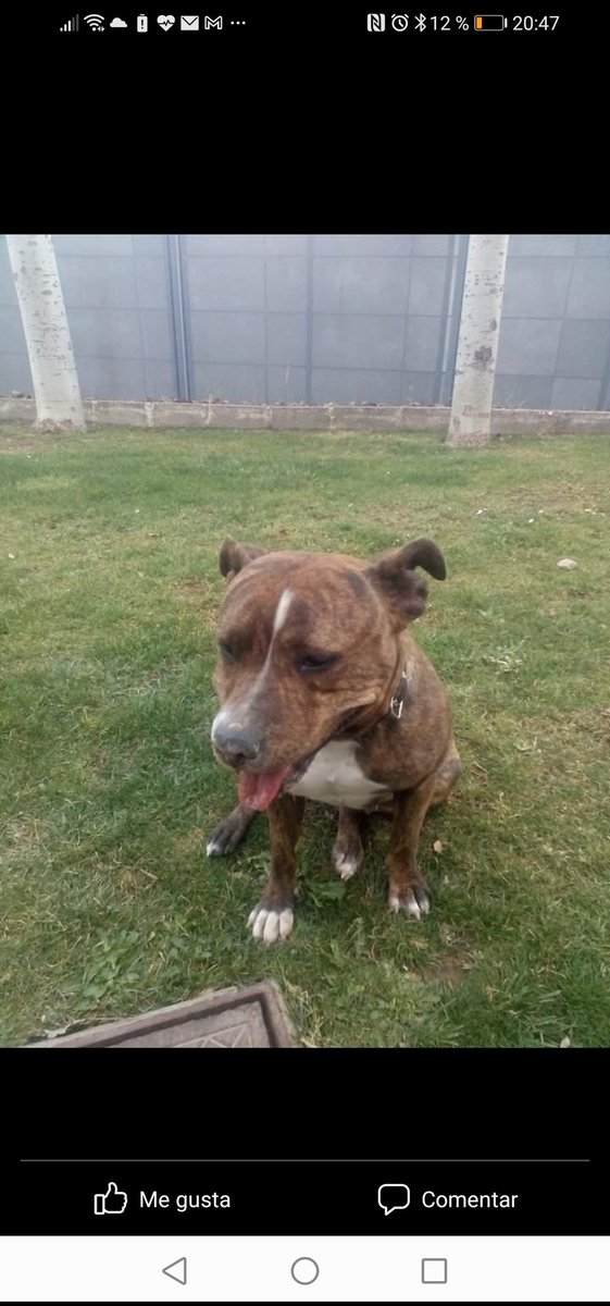 Q me has echo delica? Que no se me va esta pena y me estoy deprimiendo  profundamente por momentos🥺tengo un hueco en mi. Corazón descansa en paz mi pequeña luz.