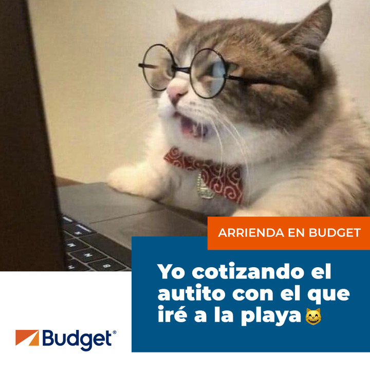 Budget_Chile's tweet image. ¡Sí señor! La mejor opción para ti, reserva en línea y escoge la categoría que te guste todo en budget.cl 😎