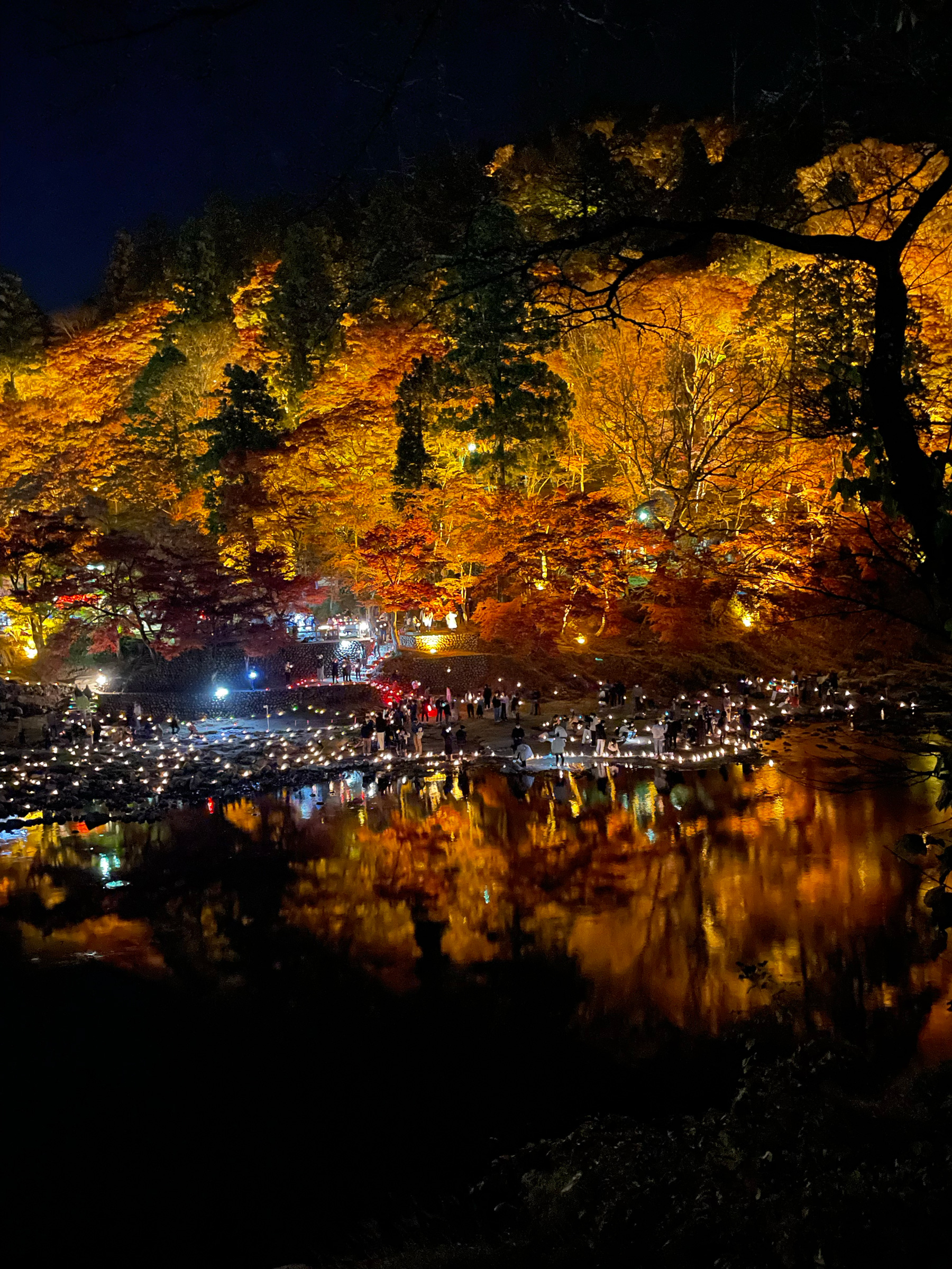 香嵐渓の紅葉 Twitter Search Twitter