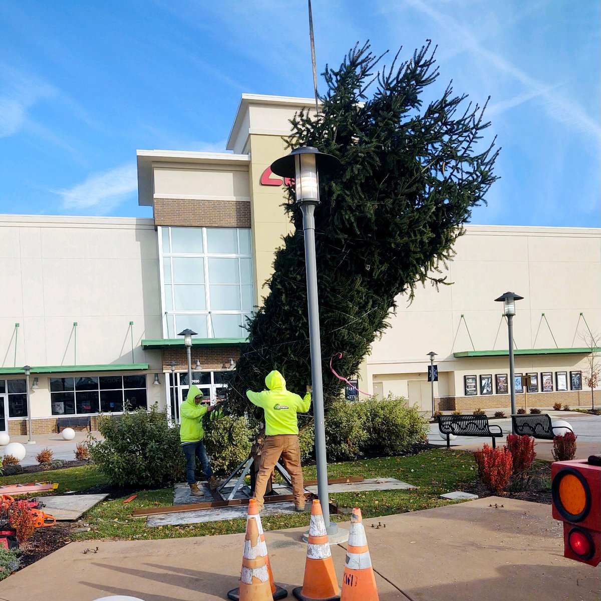 Evans_Group's tweet photo. Ain't she a beaut, Clark? The Christmas tree has been installed at Anderson Towne Center! Happy holidays! https://t.co/3U1KQWDMZw