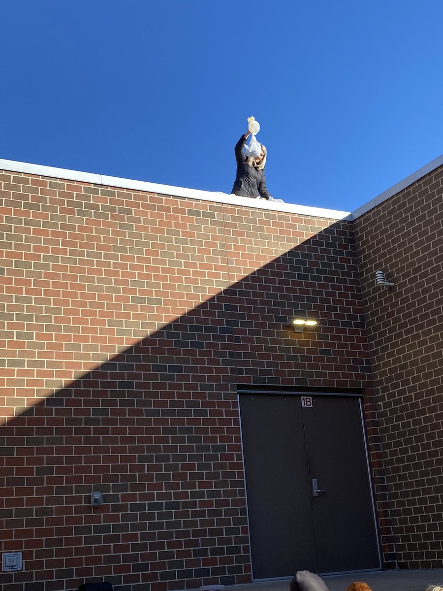 Bellar Bunch tweet media